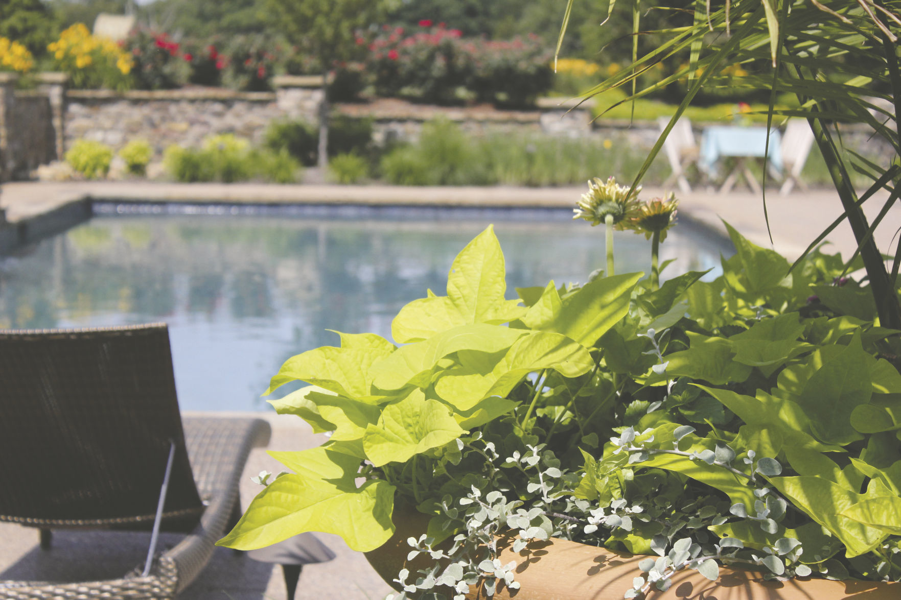 Designed and Built by Poynter Landscape Architecture.jpg